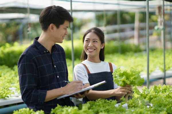 Comment construire un petit espace de culture hydroponique chez soi ?