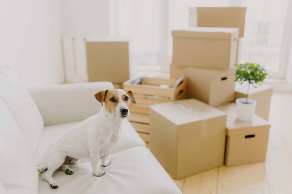 Quels sont les secrets pour un parfait petit-déjeuner au lit?